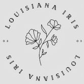 louisiana_iris_