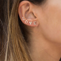 Earrings E004